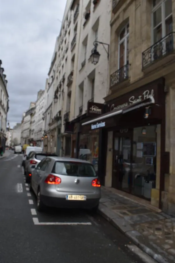 Duplex Saint Germain Odeon Apartment Paris